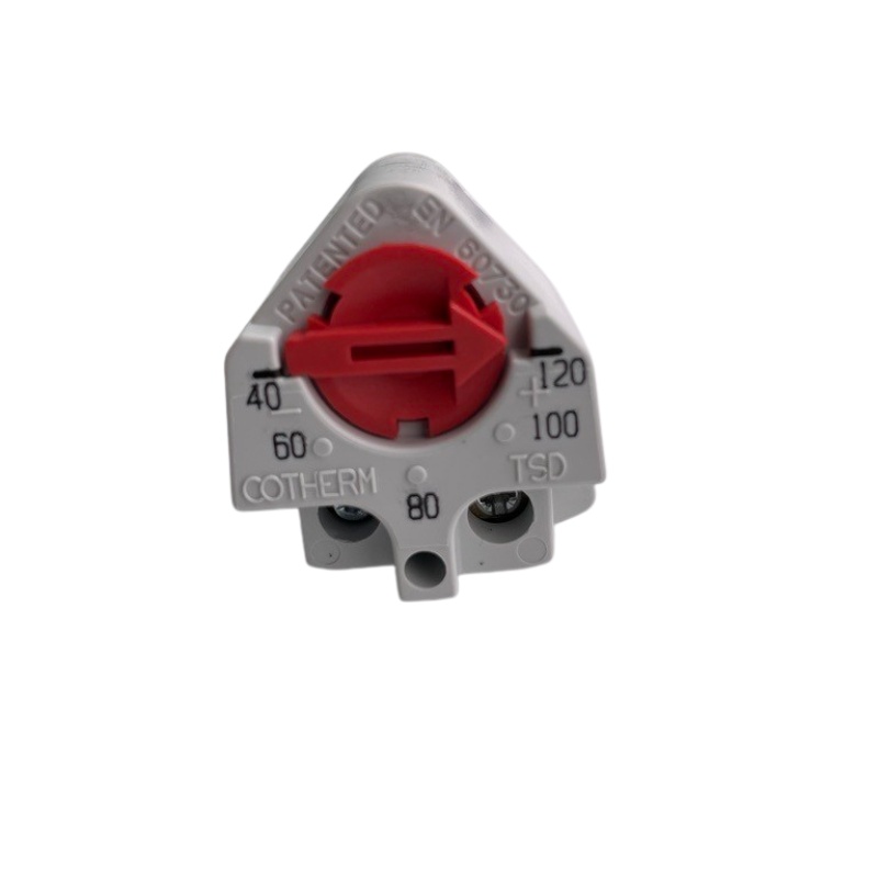 Single Function Thermostat