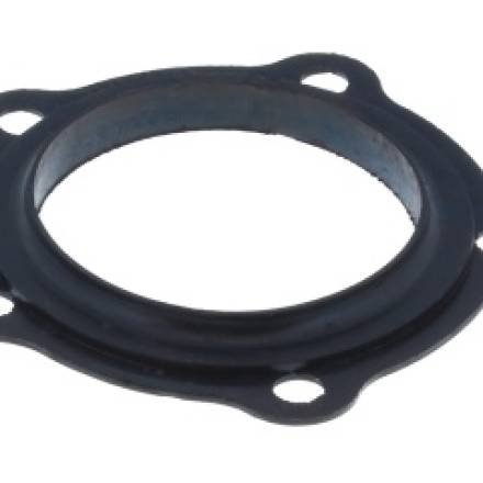 Flange Gasket (5 stud)